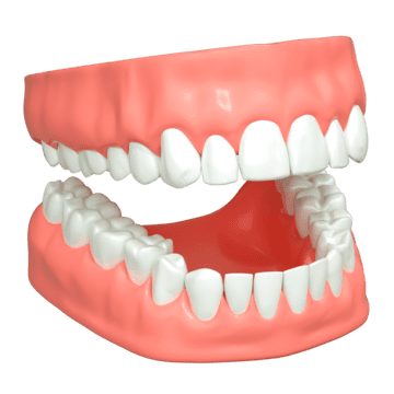 pediatric dentist Coimbatore service at Boss Dental clinic in Coimbatore